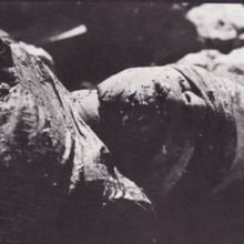 Bangladesh: A Brutal Birth - Kishor Parekh