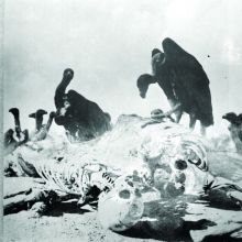 GenocideGalleryCBGR01